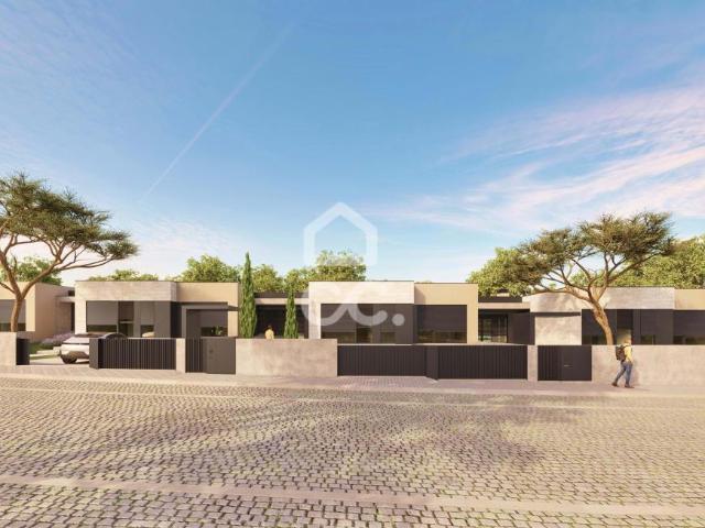 3 quarto, Braga Braga 101299817