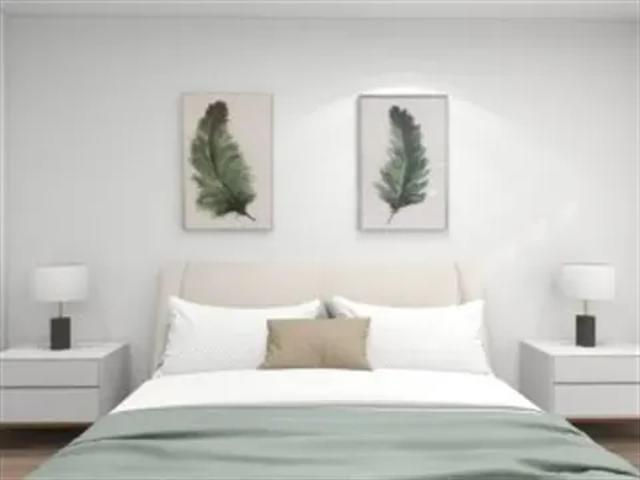 3 quarto, Braga Braga 103525835