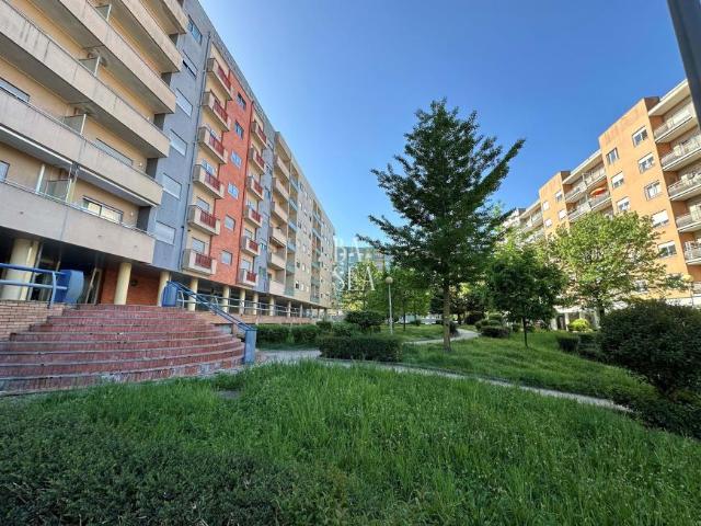 3 quarto, Braga Braga 103065541
