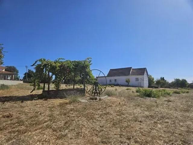 3 quarto, Bragança Bragança 103532465