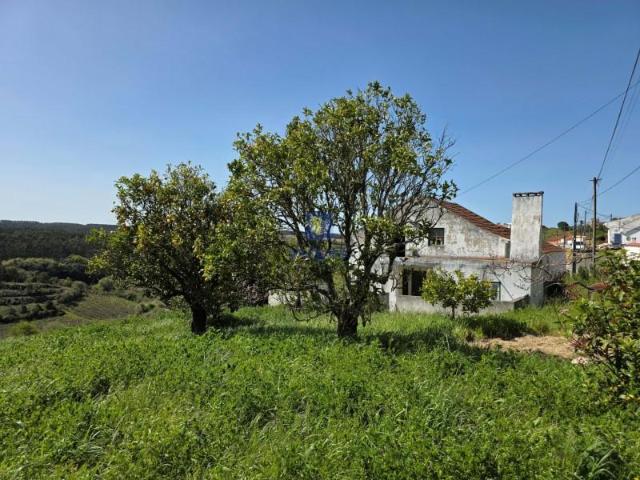 3 quarto, Caldas da Rainha Caldas da Rainha 90436330