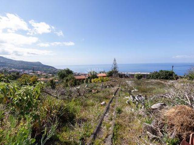 3 quarto, Calheta Ilha da Madeira 96313791