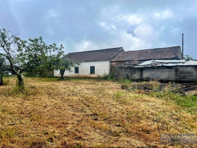 3 quarto, Castelo Branco Fundão 6230 102203472