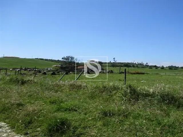3 quarto, Coimbra Figueira da Foz 103531685