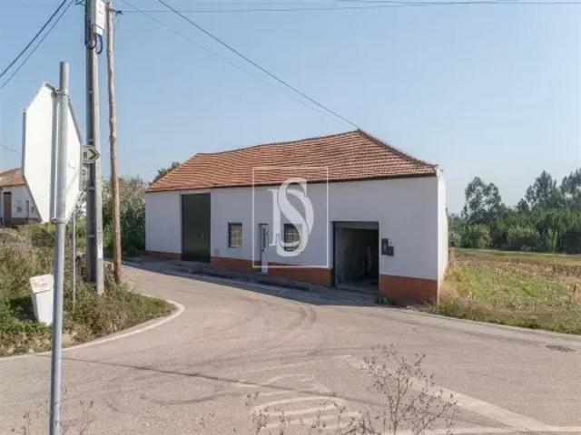 3 quarto, Coimbra Figueira da Foz 103531787