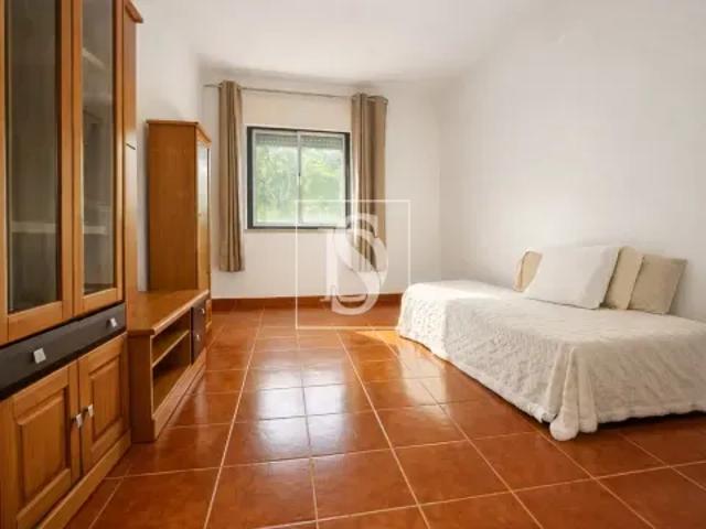 3 quarto, Coimbra Figueira da Foz 103618059