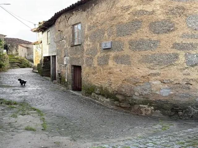 3 quarto, Coimbra Tábua 103559456