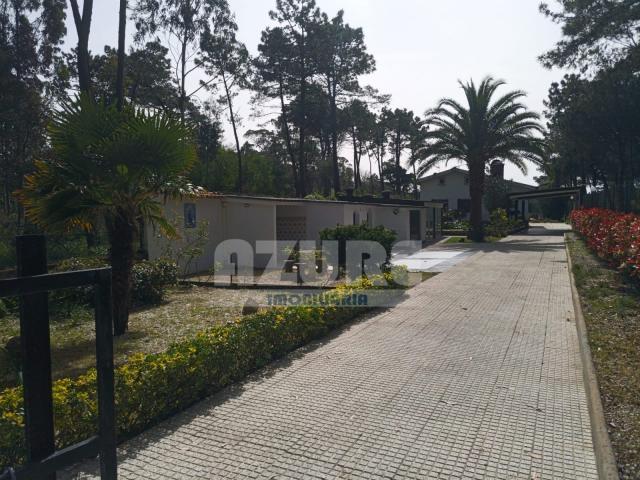 3 quarto, Esposende Braga 4740 000 85419414