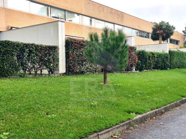 3 quarto, Esposende Esposende LS86753848