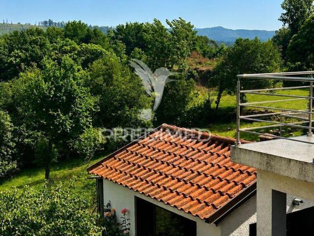 3 quarto, Fafe Braga 102914121