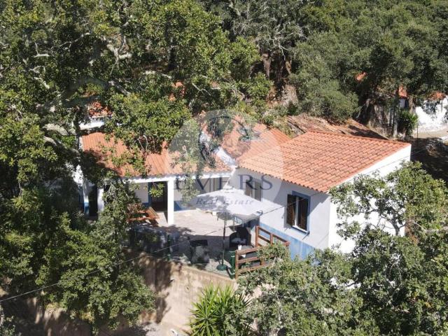 3 quarto, Faro Monchique 8550 100443889