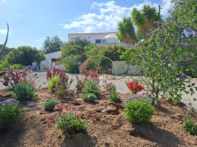 3 quarto, Faro Algarve 102400022