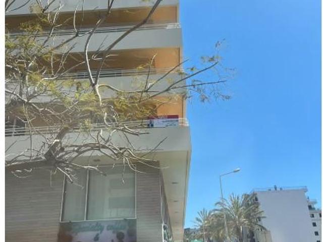 3 quarto, Funchal Funchal 101411401