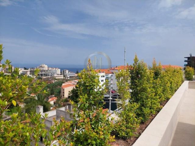 3 quarto, Funchal Funchal 95845708