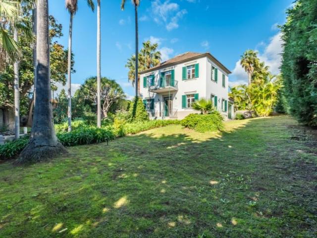 3 quarto, Funchal Funchal 95979802