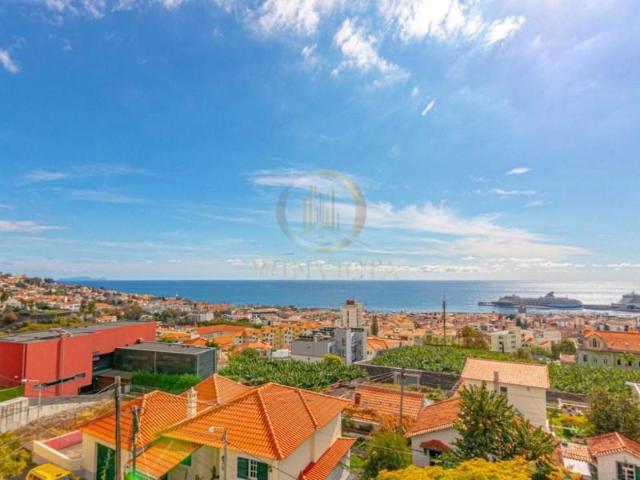 3 quarto, Funchal Funchal 99913726