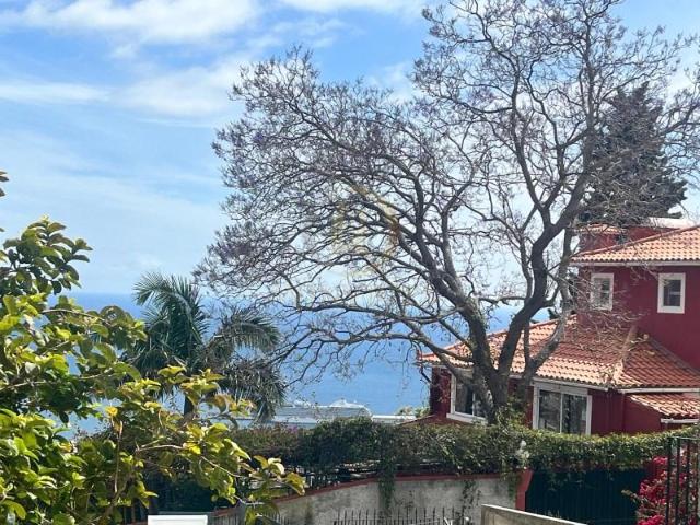 3 quarto, Funchal Funchal LS101309487
