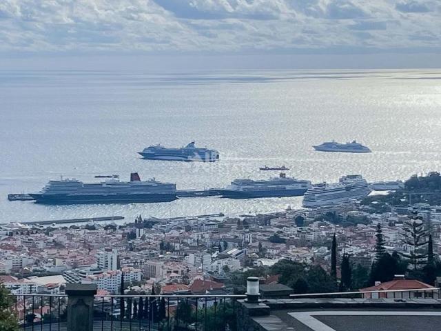 3 quarto, Funchal Ilha da Madeira 99286062