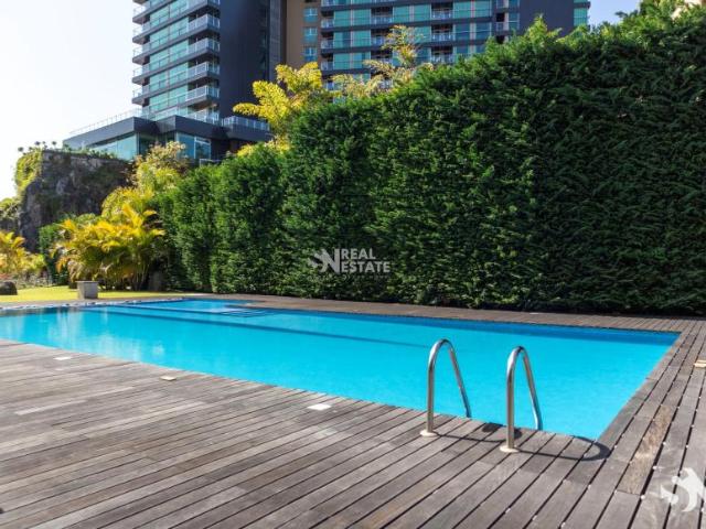 3 quarto, Funchal Ilha da Madeira 102629977