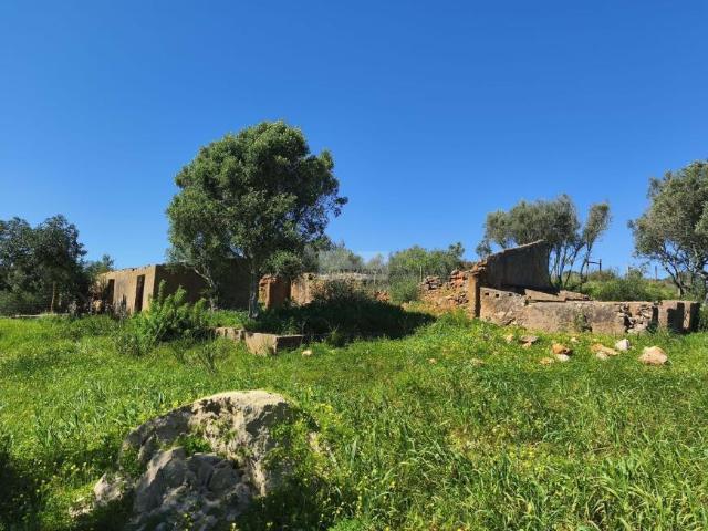 3 quarto, Lagos Algarve 100382723