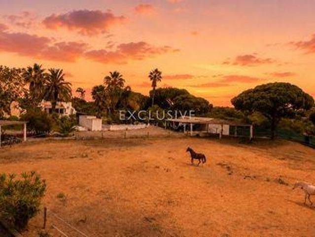3 quarto, Loulé Faro 102341624