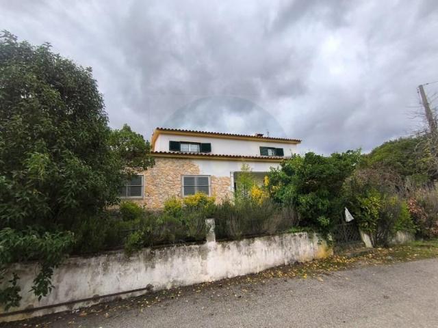 3 quarto, Mação Mação 96235049