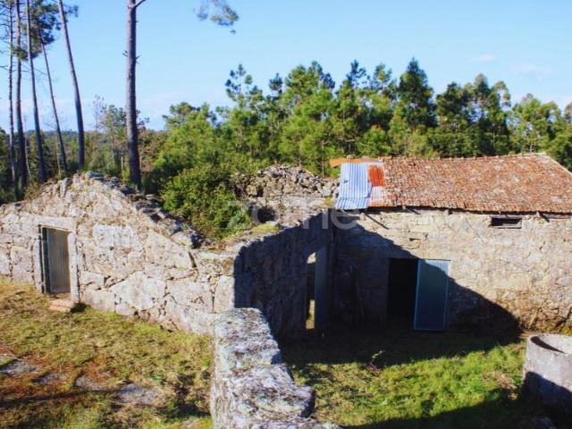 3 quarto, Mangualde Mangualde 89340996
