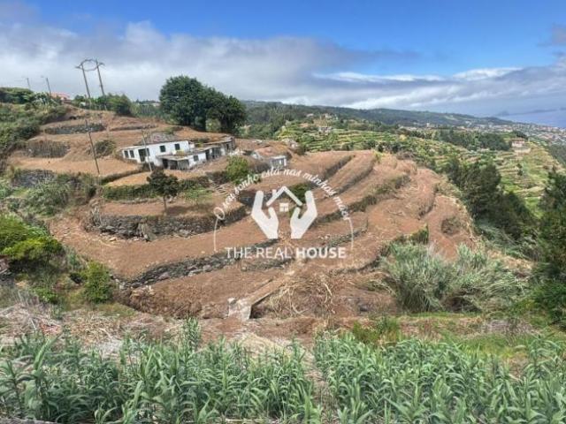 3 quarto, Madeira Santa Cruz 9100 99506799