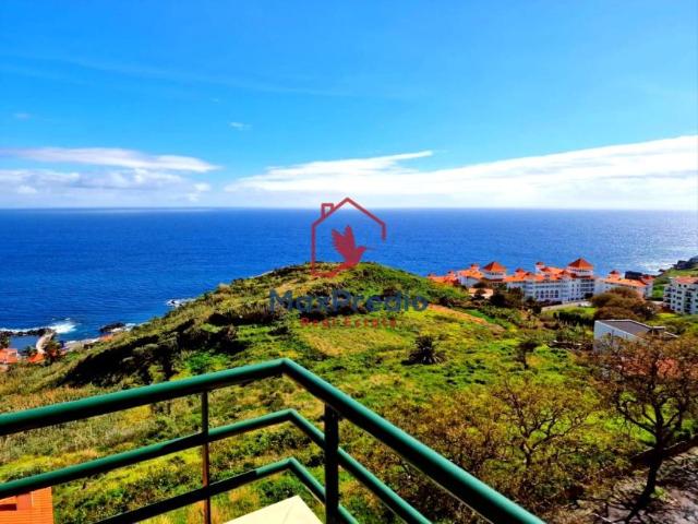 3 quarto, Madeira Santa Cruz 9125 LS102882992