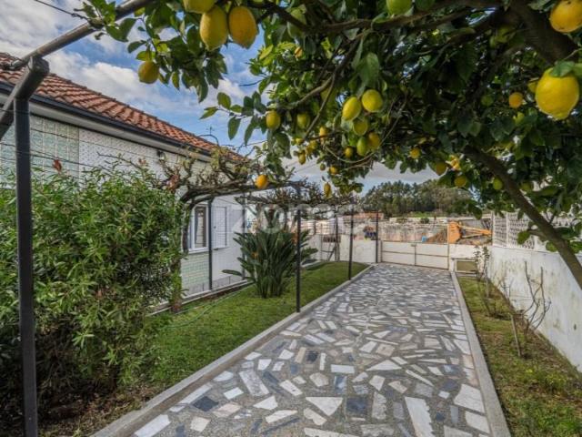 3 quarto, Maia Maia 98374547