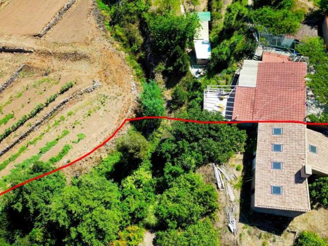 3 quarto, Monchique Algarve 85572308