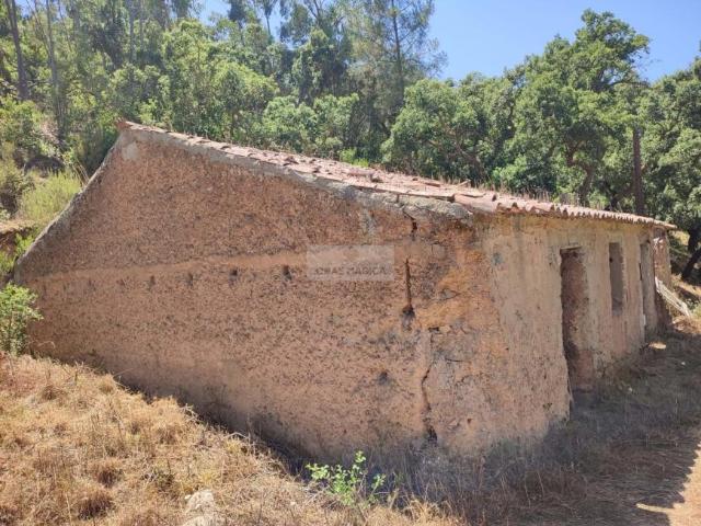 3 quarto, Monchique Algarve 99722921