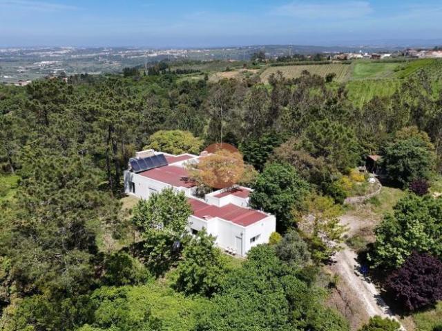 3 quarto, Óbidos Leiria 101297887
