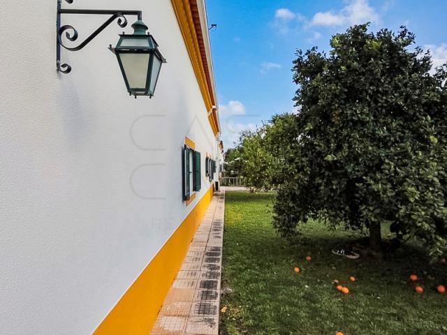 3 quarto, Palmela Palmela 87166345