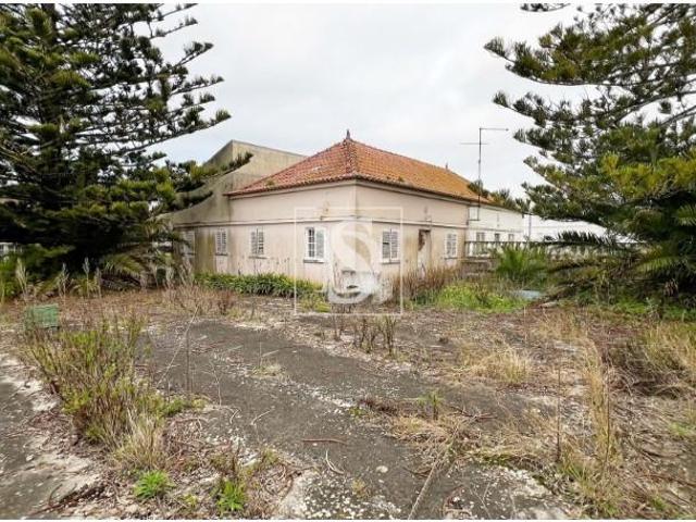 3 quarto, Peniche Peniche LS89299709