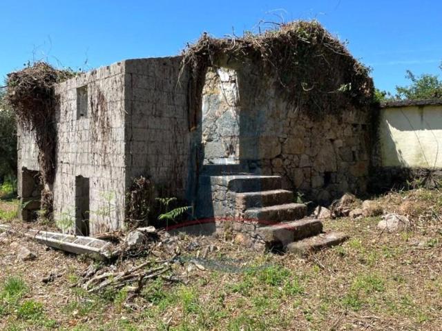 3 quarto, Ponte de Lima Ponte de Lima 98492311