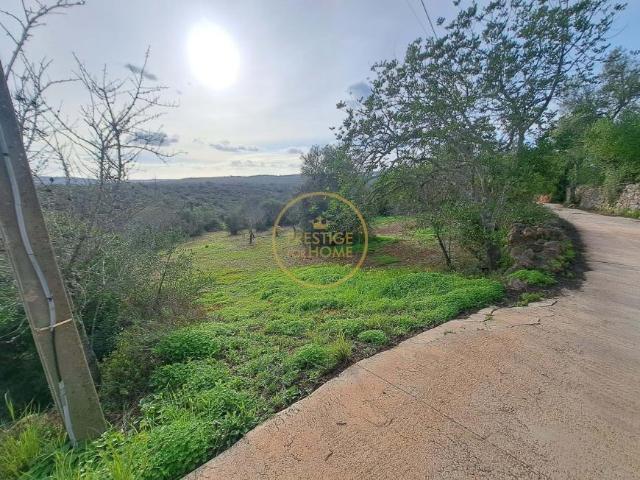 3 quarto, Querença Algarve LS98364398