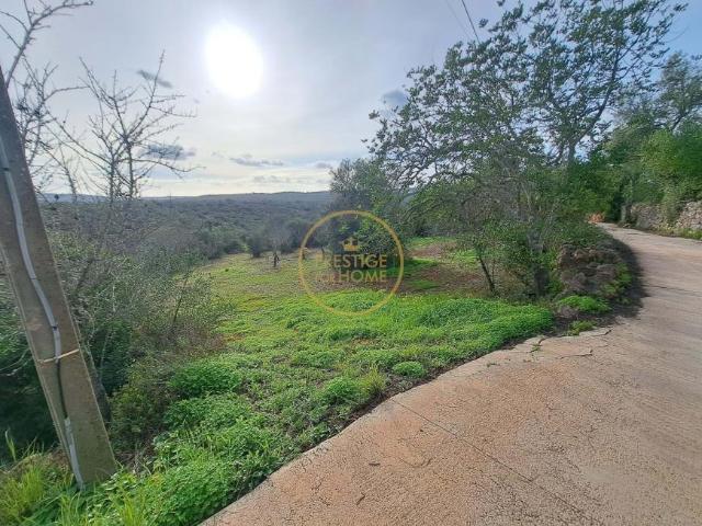 3 quarto, Querença Algarve 103357738