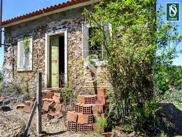 3 quarto, Santarém Tomar 103556820