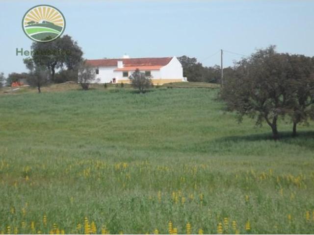 3 quarto, Santiago do Cacém Santiago do Cacém 104243039