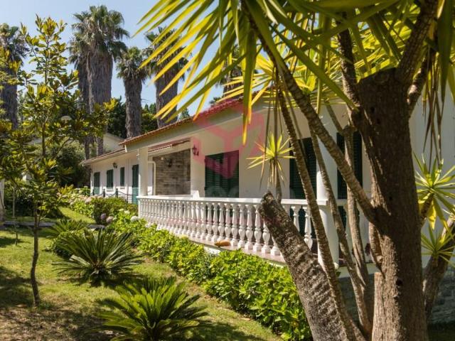 3 quarto, Sesimbra Sesimbra 103628078