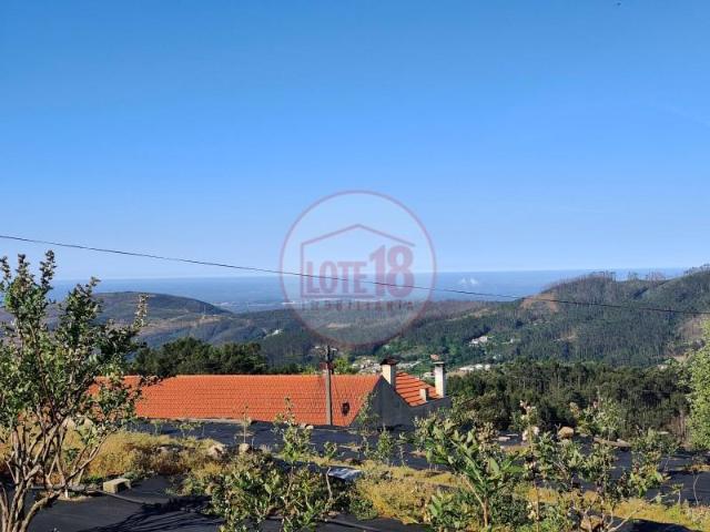 3 quarto, Sever do Vouga Sever do Vouga 102001322