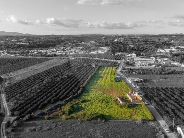3 quarto, Silves Algarve 102053687