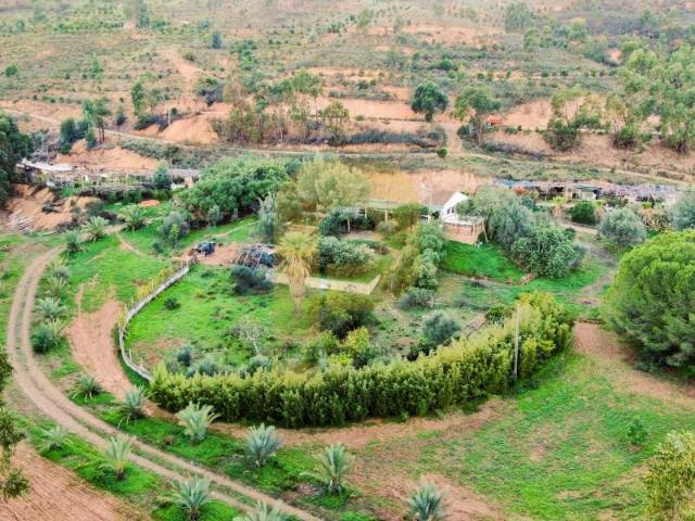 3 quarto, Silves Silves 101014195