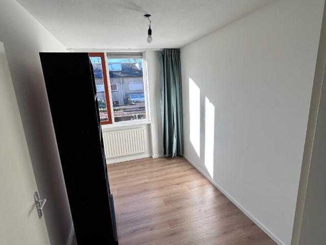 3 ruime kamers te huur