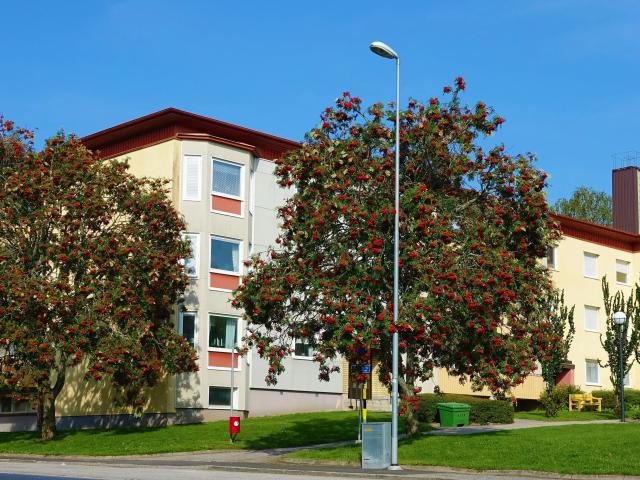 3 rums lägenhet i Ulricehamn 74 m² 8 145 kr