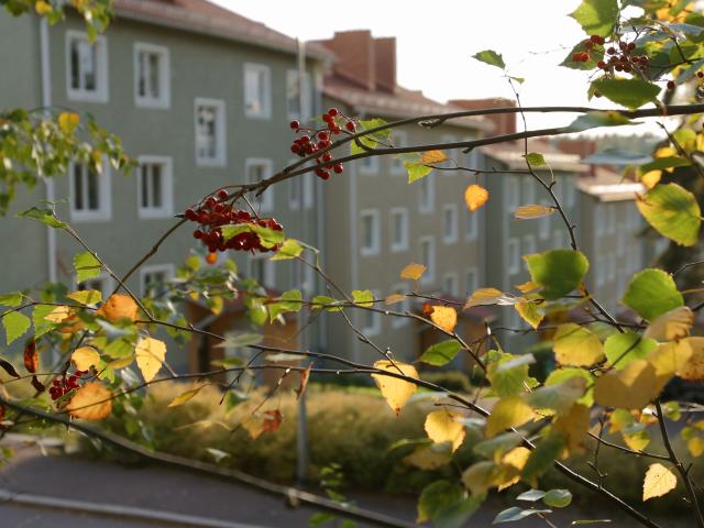 3 rums lägenhet i FALUN 74 m² 7 741 kr