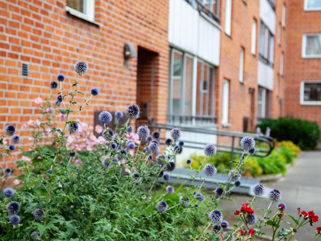 3 rums lägenhet i Kristianstad 74 m² 6 783 kr