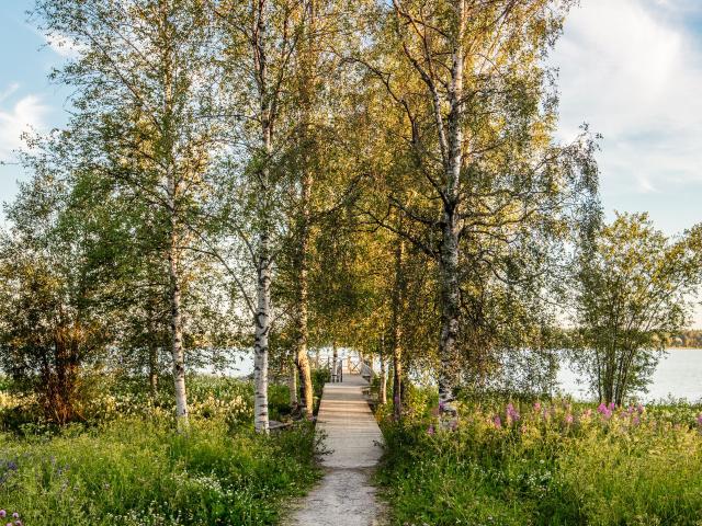 3 rums lägenhet i Luleå 86 m² 12 107 kr