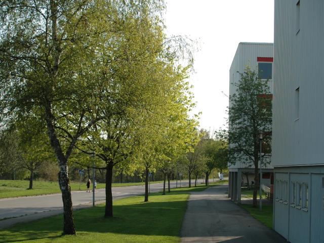 3 rums lägenhet i MJÖLBY 71 m² 7 719 kr